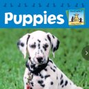 참빛유치원 이미지