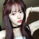 레드미헤어