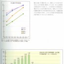 토끼의 수명 이미지