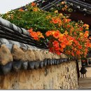 김해수로왕릉 이미지