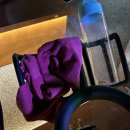 이솝포토 이미지