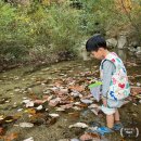 교동 화개산 펜션 이미지