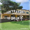 서울 근교 애견카페 :: 미니풀장과 야외 잔디운동장이 있는 카페애몽 후기