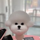 호수미용타운