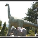 계룡산자연사박물관 이미지