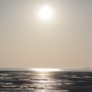 강화자연휴양림 이미지