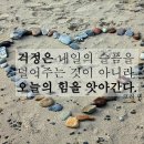 01월 18일(목) 신문을 통해 알게된 이야기들 이미지