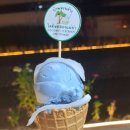 Big City L | 치앙마이 한달살기 준비, 더아스트라 콘도 위치, 주변 인프라, 편의시설 알아보기