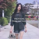 프로바이델