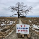 우강면 대포리 노천게이트볼장 | [당진 맛집] 백년초바지락칼국수 l 바지락칼국수, 전병, 만두 내돈내산 후기🍜🥟