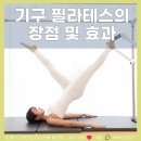 판교 필라테스: 기구 필라테스의 장점, 내 몸에 맞는 운동은?