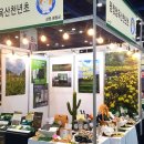 평창청옥산천년초 영농조합법인 네이버블로그