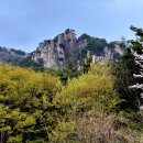 화왕산 Daum카페
