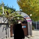 낭띠전원카페 | 청양 여행-홍성 맛있는 녀석들 '내당한우', '홍주성', 청양 '낭띠전원카페', '칠갑산 천장호 출렁다리'