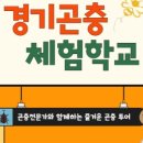 곤충학교