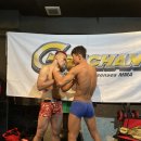 울산팀매드 이미지