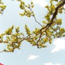 아름솔 유치원 이미지