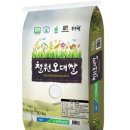 슬기로운식탁 이미지