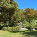 모담산 유아숲체험원 이미지