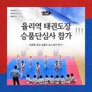 하나 태권도장 | 율리역 태권도장 생생한 공인 승품단 심사 참가 후기