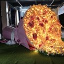 섬진강 | 2025 곡성 세계장미축제 섬진강 기차마을 상세 후기
