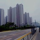 (버스)평택중학교 이미지