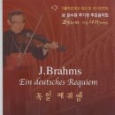 제51회정기연주회 이미지