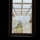 대진항큰집 이미지