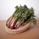 서민회도매 | 달래 냉이 씀바귀말고 너!