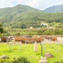 티카페하동 이미지