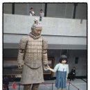 화산여행사