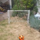 자응민박 이미지