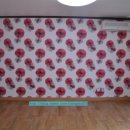 파레스빌 이미지