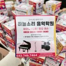 새하늘음악학원 - 11635 | 새하늘음악학원