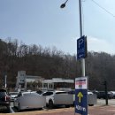 도선공영주차장 | 단종의 슬픔이 남아있는 청령포 직접 다녀온 후기 (주차, 배시간, 관람코스 총정리)