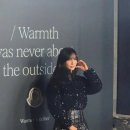 프랑스자수와 손바느질(고급) | 4050 워너비 고소영 패션, 몽클레르 시퀸 자수 다운 재킷이 특별한 이유(실물 후기 포함)