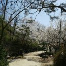 숲속의 둥지 이미지