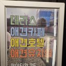 구름이 그린 달빛 네이버블로그