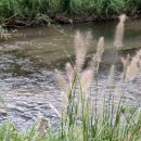 학장천 강변갤러리 이미지