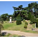 청송심씨 묘역 이미지