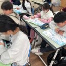 석촌초등학교 이미지