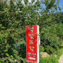 별빛뜨락 이미지
