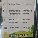 모노레일커피 | 구미 아이랑 가볼만한곳 체험거리 구미 에코랜드 모노레일 탑승후기