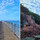 비앤씨의원 이미지