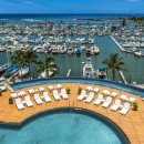 인정프린스(아) 이미지