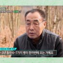경화식품 이미지
