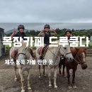 언젠家(가) | 제주동쪽가볼만한곳 추천목장카페 드루쿰다 아이와 주말 나들이 후기