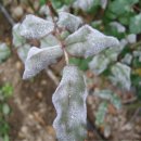 진주산소 이미지