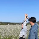 연화일휘 네이버블로그
