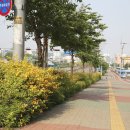 효성노인문화센터 앞 이미지